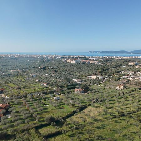 Villino Azul Apartment Alghero Exterior photo